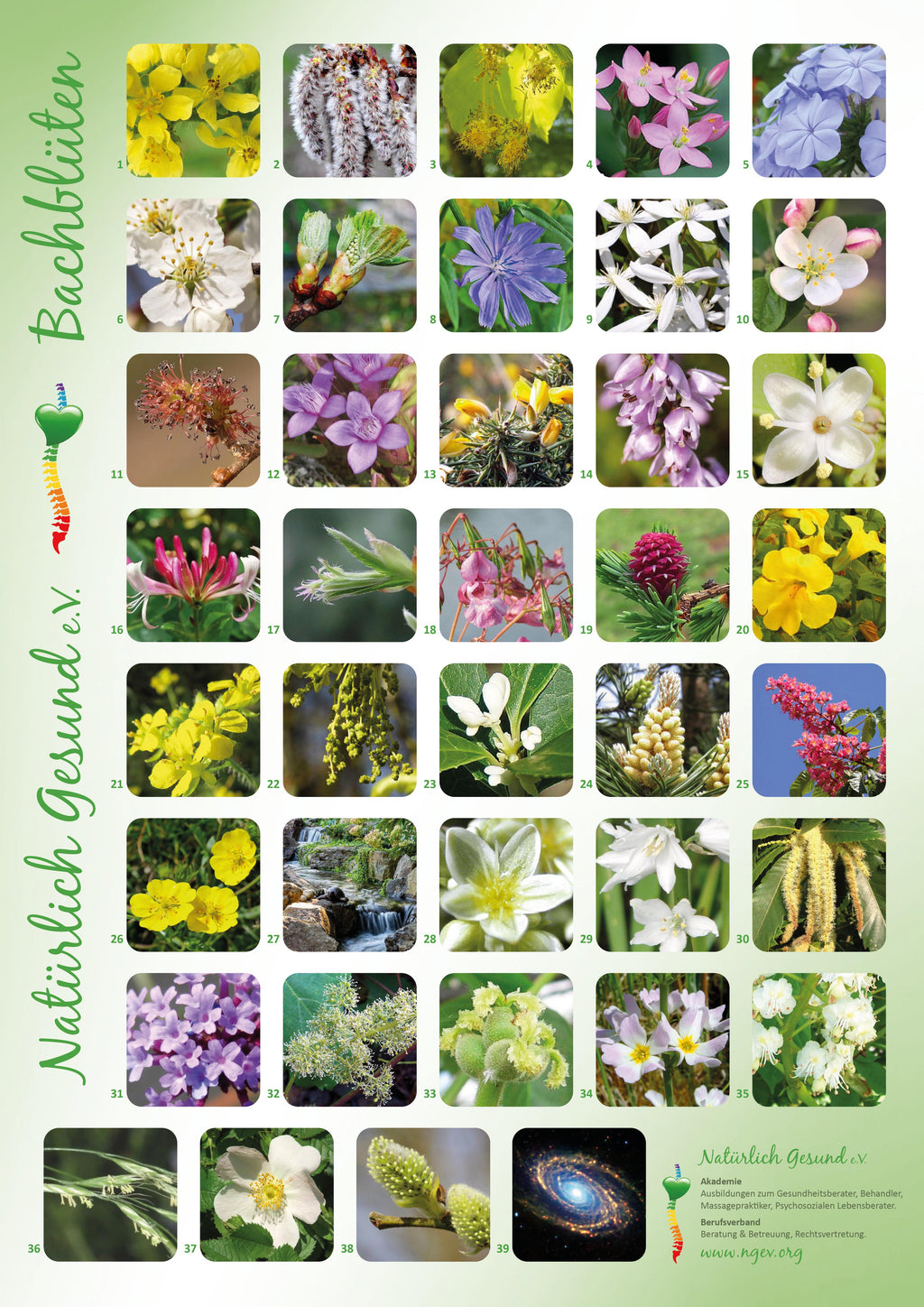 Plakate a3 – Bild 3
