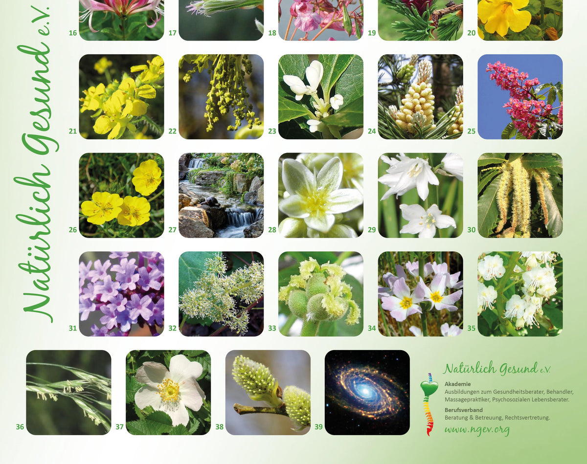 Plakate A3