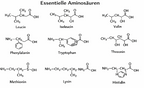 Essenzielle Aminosäuren